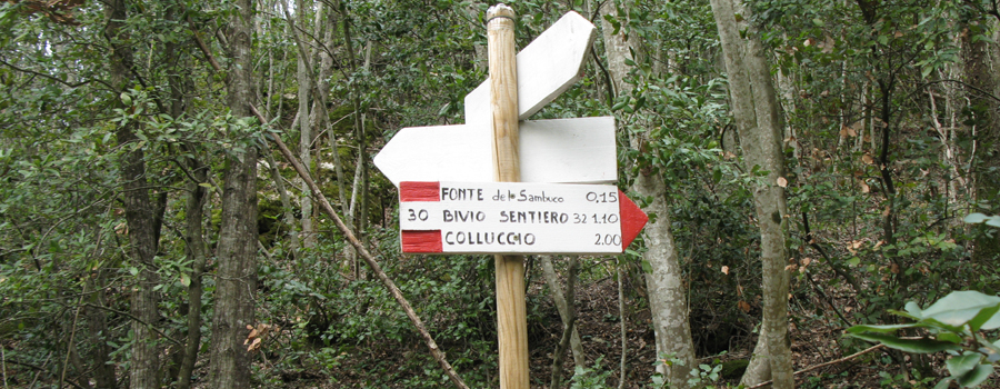 Monte Nerone Sentiero 30 - immagine 7