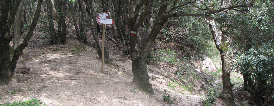 Monte Nerone Sentiero 30 - immagine 8