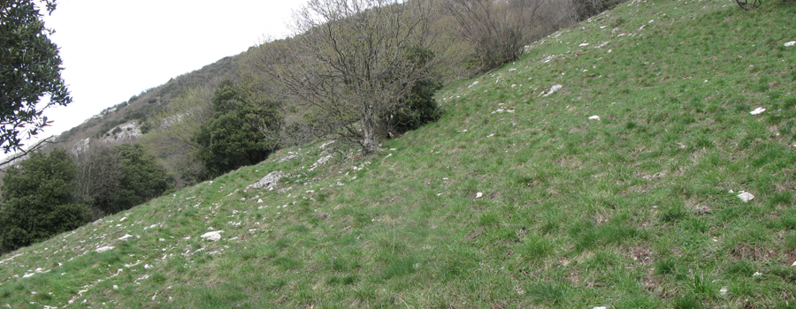 Monte Nerone Sentiero 30 - immagine 9