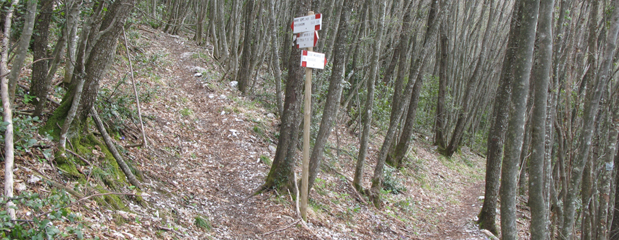 Monte Nerone Sentiero 30 - immagine 11