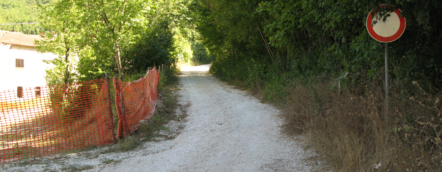 Monte Nerone Sentiero 31 - immagine 1