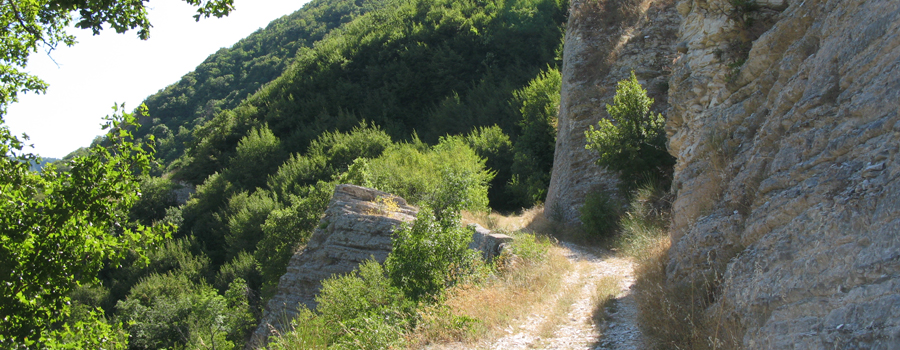 Monte Nerone Sentiero 31 - immagine 2