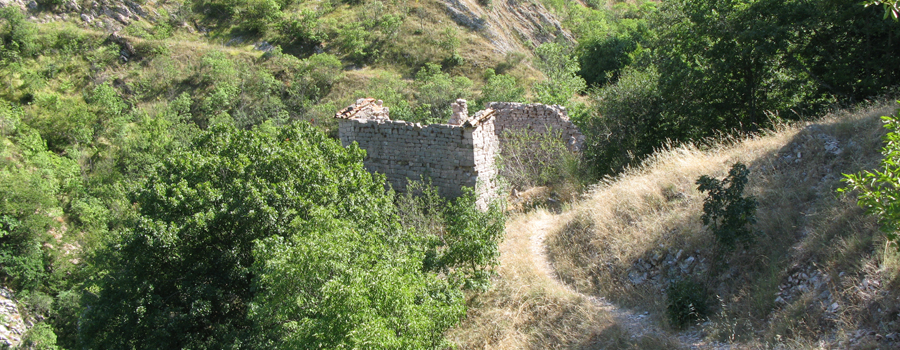 Monte Nerone Sentiero 31 - immagine 3