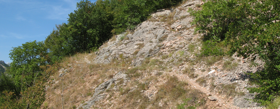 Monte Nerone Sentiero 31 - immagine 4