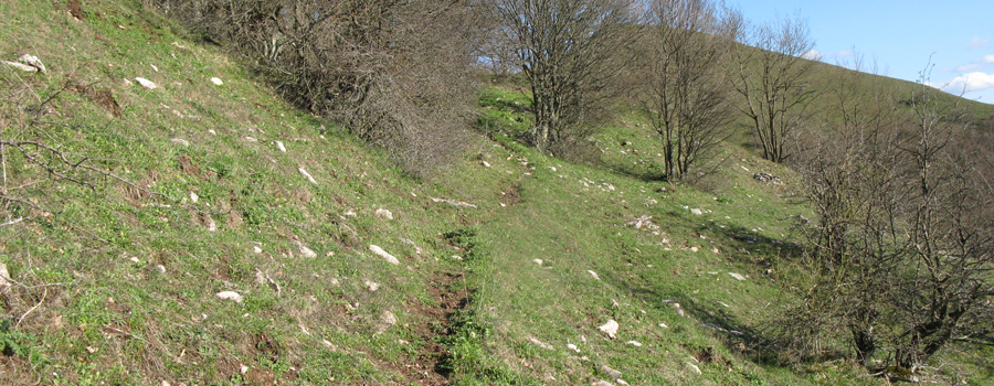 Monte Nerone Sentiero 31 - immagine 10