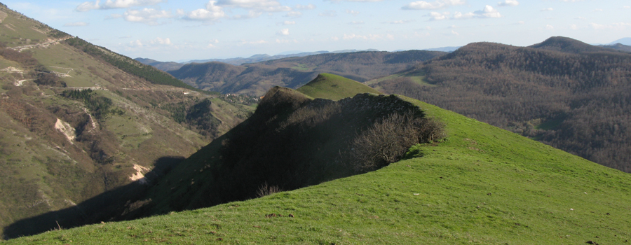 Monte Nerone Sentiero 31 - immagine 11 (Cresta del Cardamagna)
