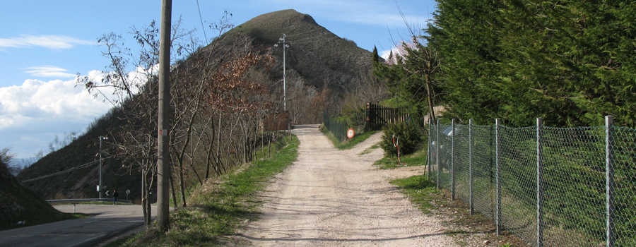 Monte Nerone Sentiero 31 - immagine 14