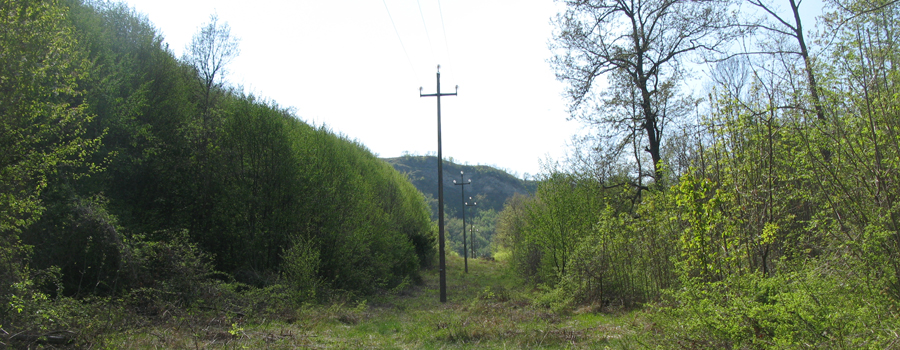 Monte Nerone Sentiero 24bis - immagine 3