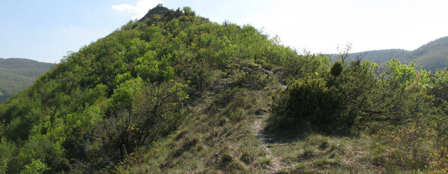 Monte Nerone Sentiero 24bis - immagine 6