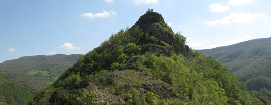 Monte Nerone Sentiero 24bis - immagine 8