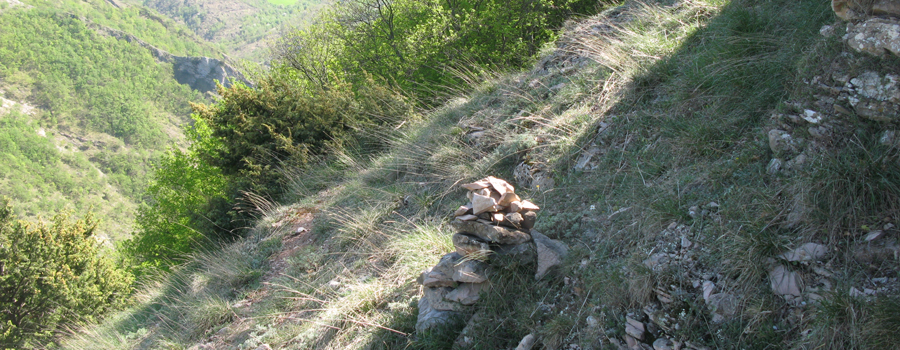 Monte Nerone Sentiero 24bis - immagine 10