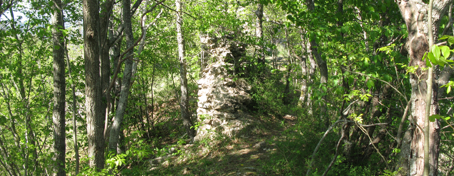 Monte Nerone Sentiero 24bis - immagine 11