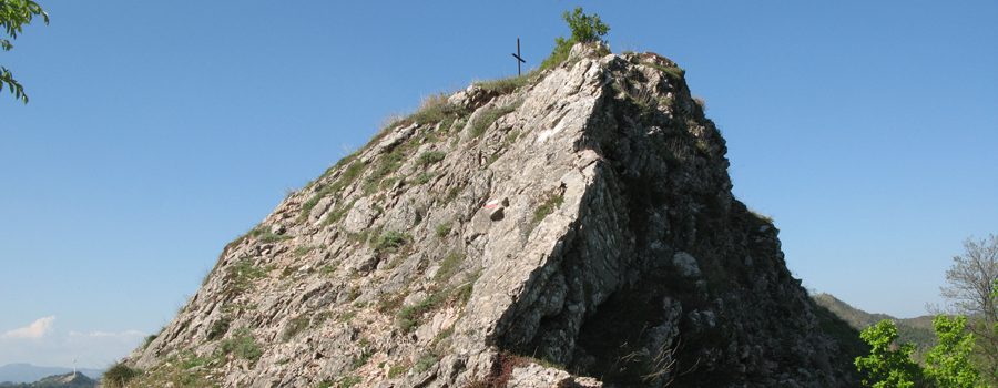 Monte Nerone Sentiero 24bis - immagine 12 (La Cardaccia)