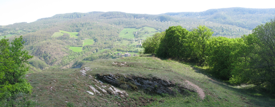 Monte Nerone Sentiero 24bis - immagine 13