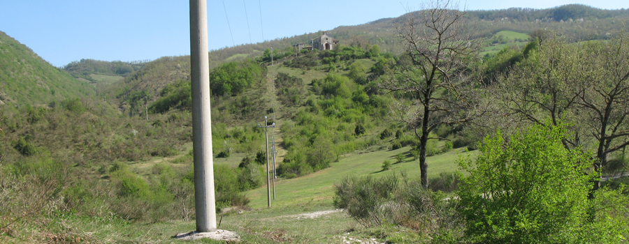 Monte Nerone Sentiero 24bis - immagine 14