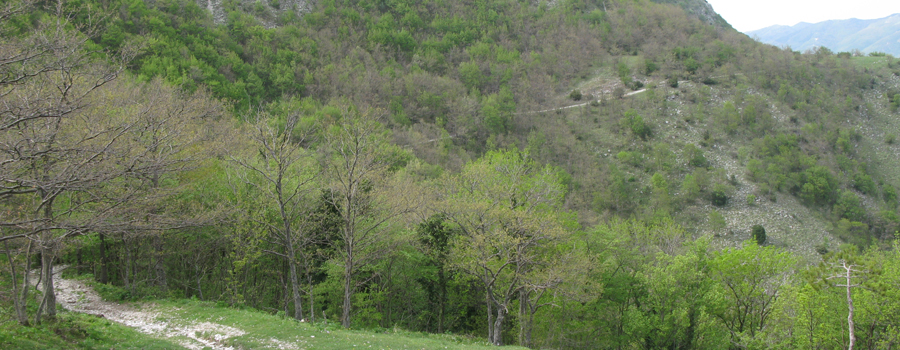 Monte Nerone Sentiero 32 - immagine 2