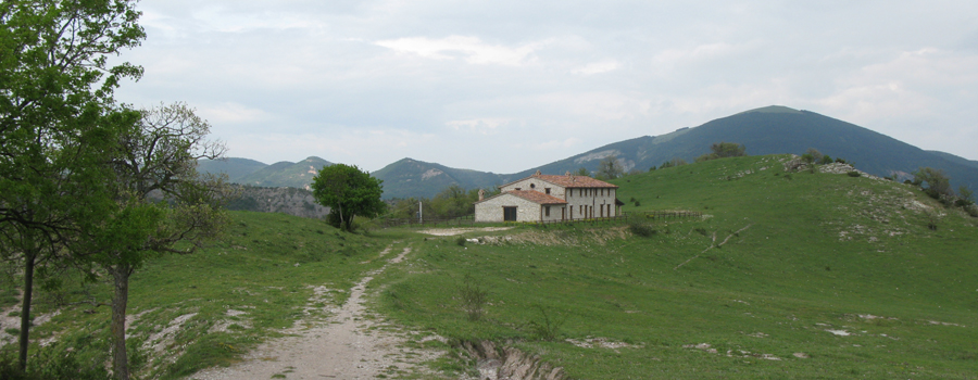 Monte Nerone Sentiero 32 - immagine 5 (Ca' Rossara)