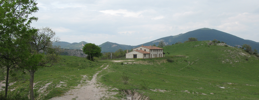 Monte Nerone Sentiero 32 - immagine 5 (Ca' Rossara)
