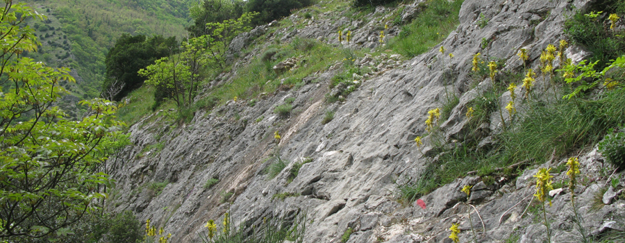Monte Nerone Sentiero 32 - immagine 13