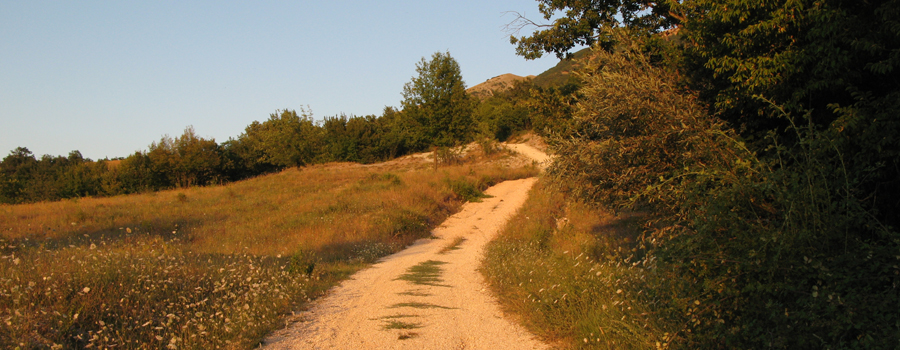 Monte Nerone Sentiero 33 - immagine 2