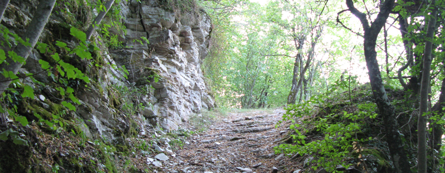 Monte Nerone Sentiero 33 - immagine 4