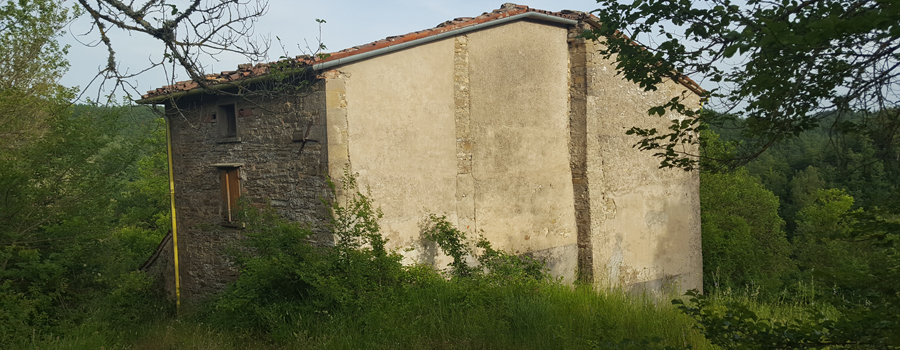 Monte Nerone Sentiero 39 - immagine 15 (Artaina)