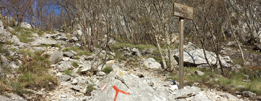 Monte Nerone Sentiero 4 - immagine 1
