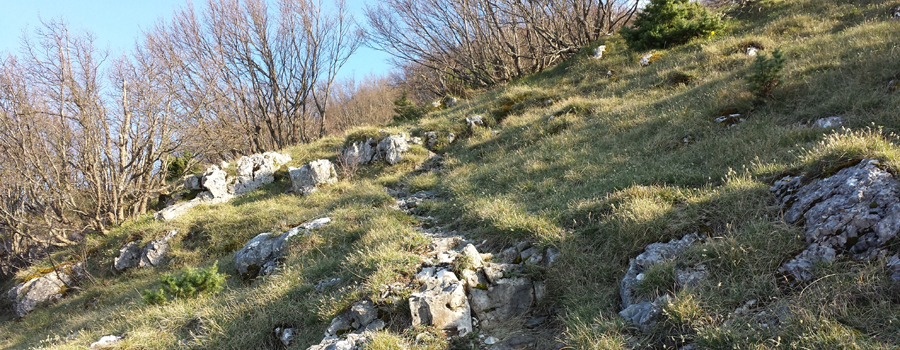 Monte Nerone Sentiero 4 - immagine 5