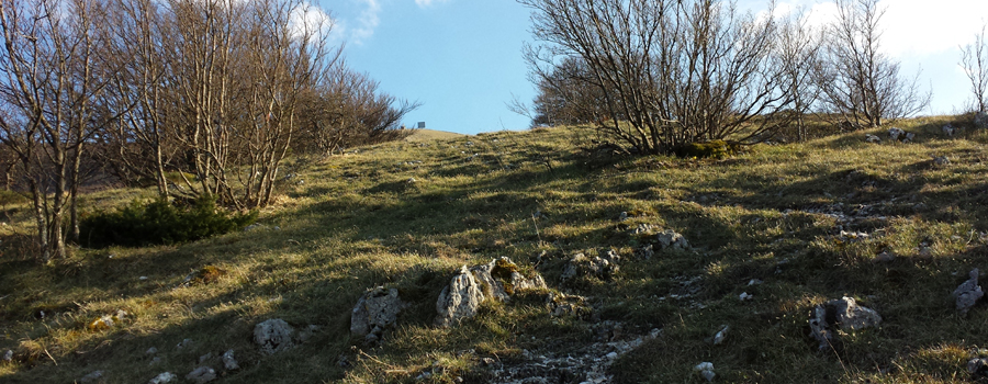 Monte Nerone Sentiero 4 - immagine 6