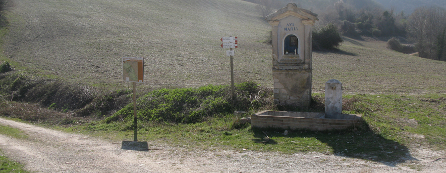Gola del Furlo Sentiero 440 - immagine 1