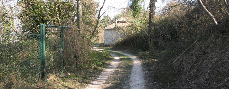 Gola del Furlo Sentiero 440 - immagine 2