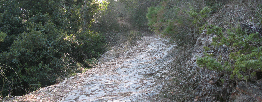Gola del Furlo Sentiero 440 - immagine 4