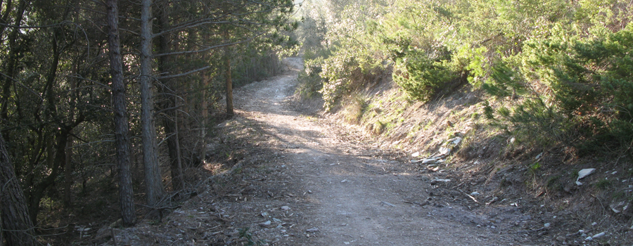 Gola del Furlo Sentiero 440 - immagine 5