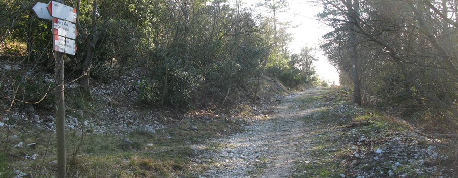 Gola del Furlo Sentiero 440 - immagine 7