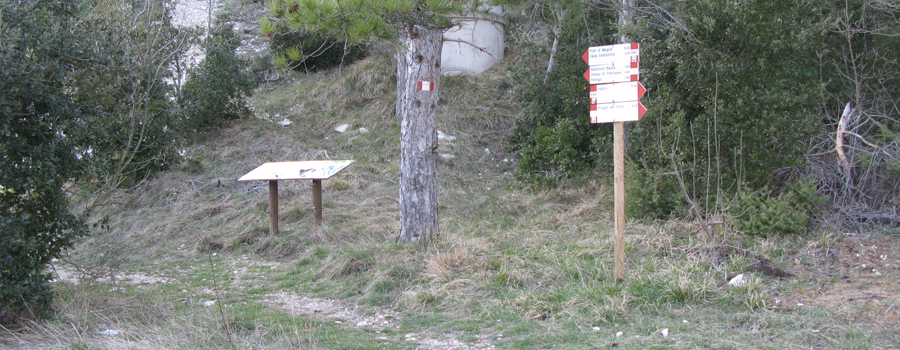 Gola del Furlo Sentiero 440 - immagine 8
