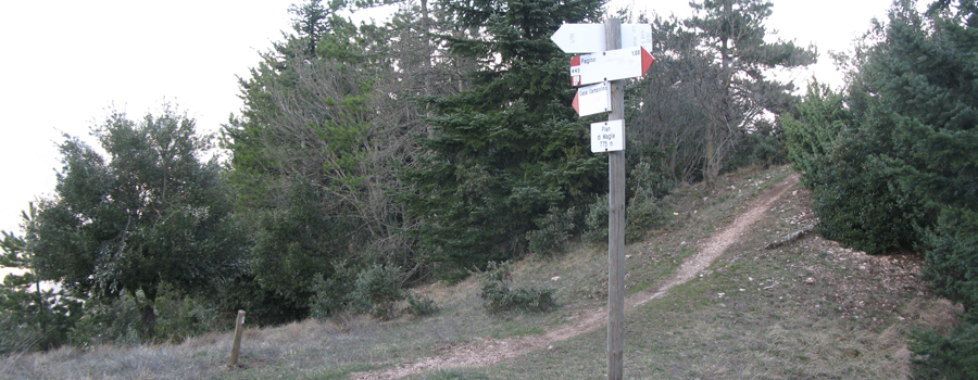 Gola del Furlo Sentiero 440 - immagine 10