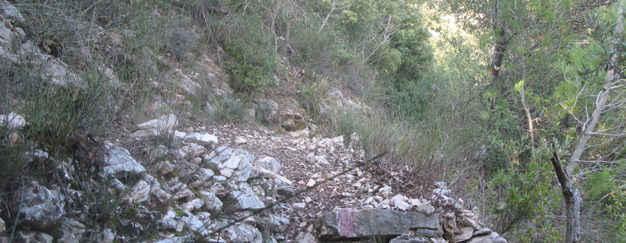 Gola del Furlo Sentiero 440A - immagine 6