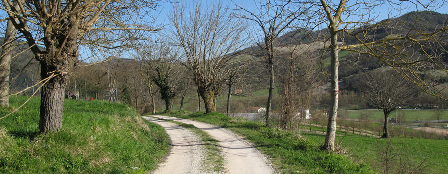 Gola del Furlo Sentiero 441 - immagine 2