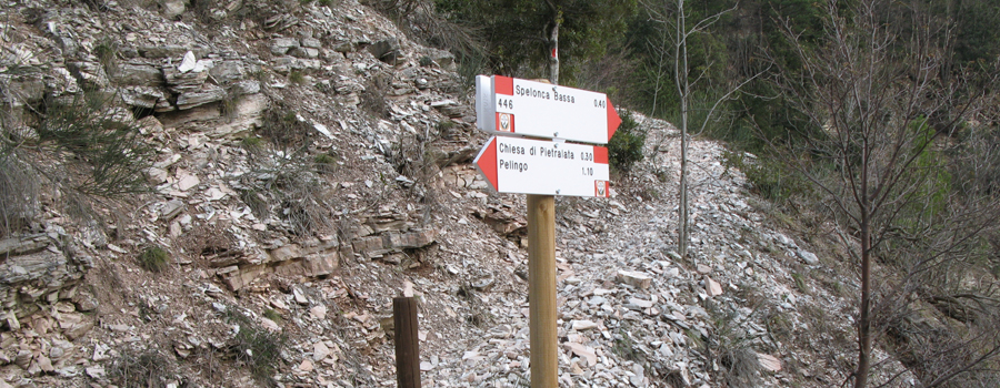 Gola del Furlo Sentiero 446 - immagine 8
