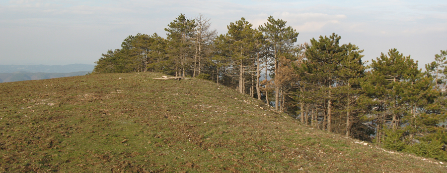 Gola del Furlo Sentiero 446 - immagine 16 (Monte Pietralata)