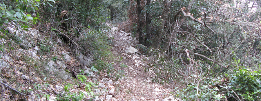Gola del Furlo Sentiero 449 - immagine 2