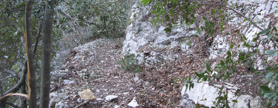 Gola del Furlo Sentiero 449 - immagine 3