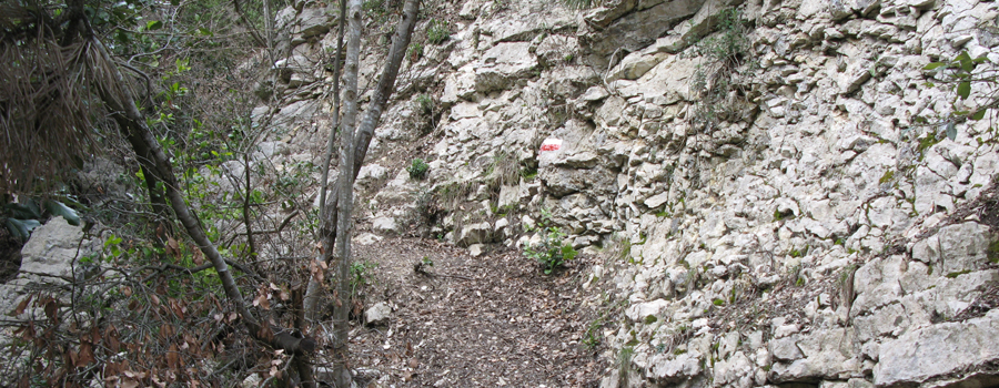 Gola del Furlo Sentiero 449 - immagine 4