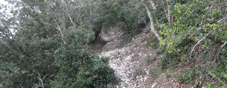 Gola del Furlo Sentiero 449 - immagine 8