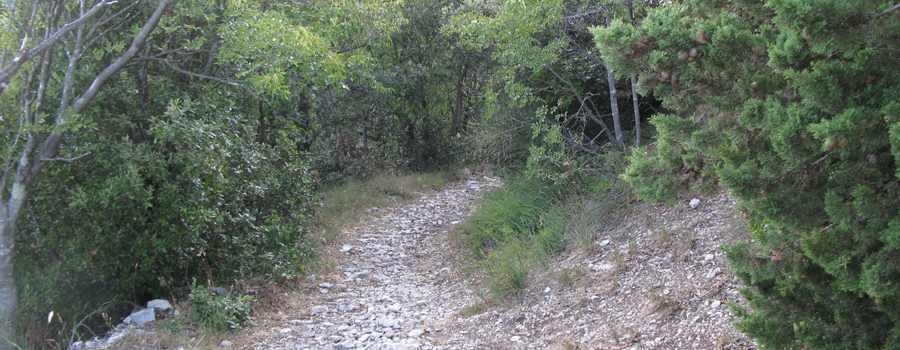 Gola del Furlo Sentiero 449 - immagine 12