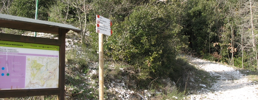 Gola del Furlo Sentiero 449 - immagine 13