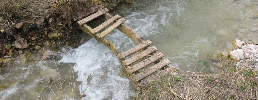 Gola del Furlo Sentiero 450 - immagine 4