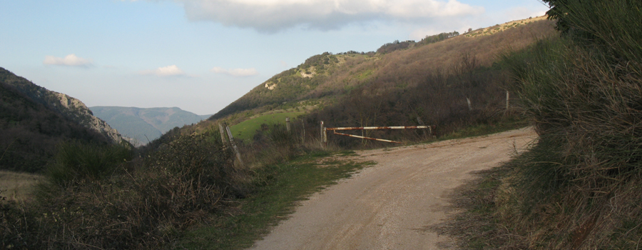 Gola del Furlo Sentiero 450 - immagine 10