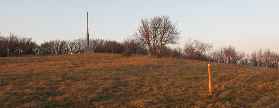 Gola del Furlo Sentiero 450 - immagine 15 (Monte Paganuccio)