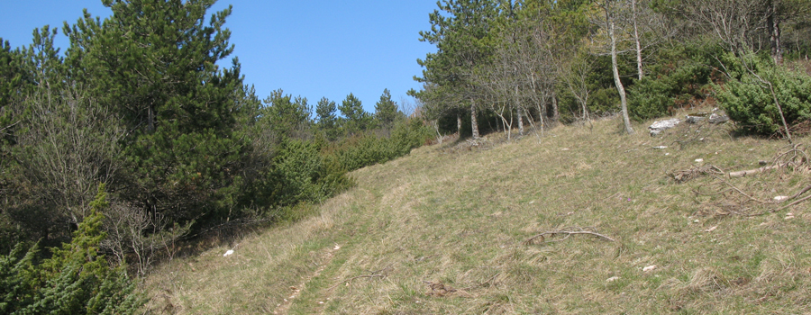 Gola del Furlo Sentiero 450A - immagine 9